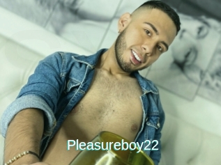 Pleasureboy22