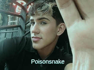 Poisonsnake