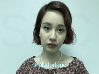 Pollyforland