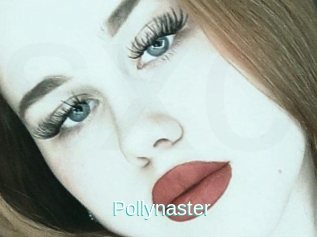 Pollynaster