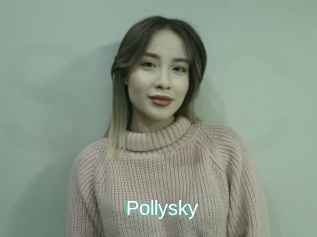 Pollysky