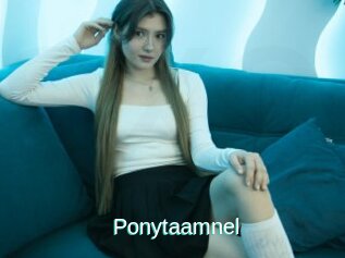 Ponytaamnel