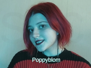 Poppyblom