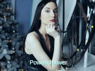 Powerofflower
