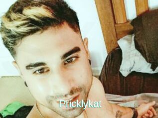 Pricklykat