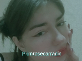 Primrosecarradin