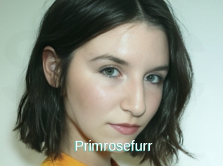 Primrosefurr