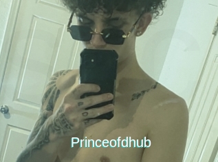 Princeofdhub