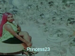Princess23