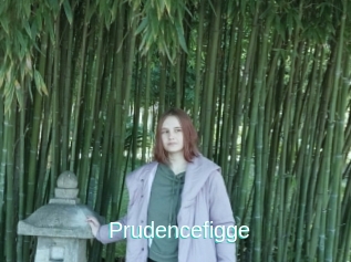 Prudencefigge