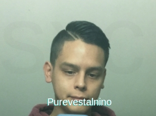 Purevestalnino