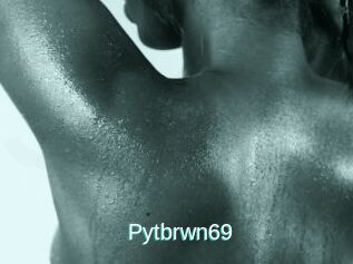 Pytbrwn69