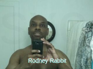 Rodney_Rabbit