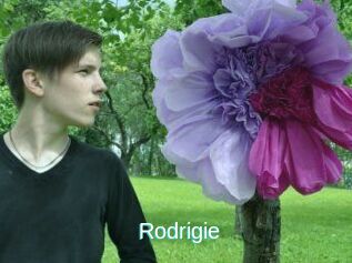 Rodrigie