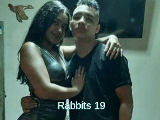 Rabbits_19