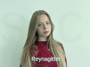 Reynagitter