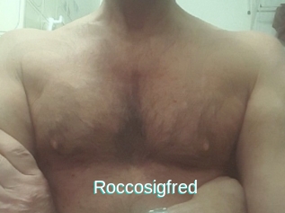 Roccosigfred
