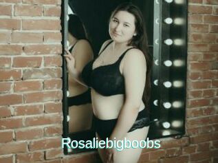 Rosaliebigboobs
