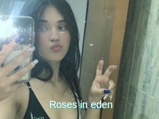 Roses_in_eden