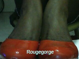 Rougegorge