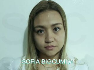 SOFIA_BIGCUMLW