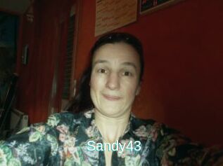 Sandy43