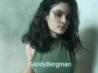 SandyBergman