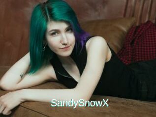 SandySnowX