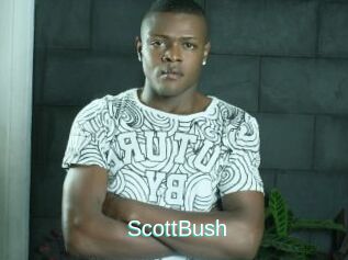 ScottBush