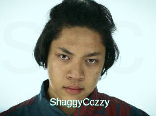 ShaggyCozzy