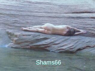 Shams66
