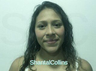 ShantalCollins