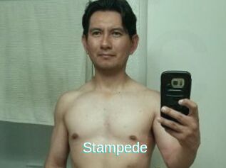 Stampede