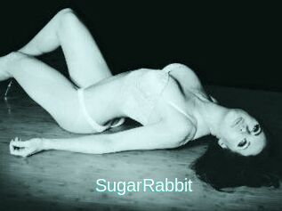SugarRabbit