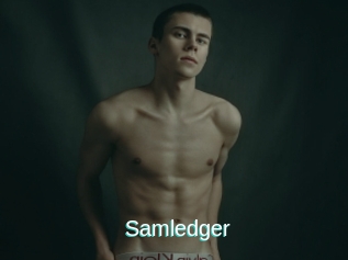 Samledger