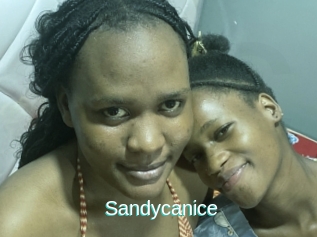 Sandycanice
