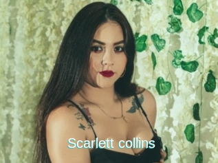 Scarlett_collins
