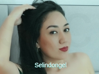 Selindongel
