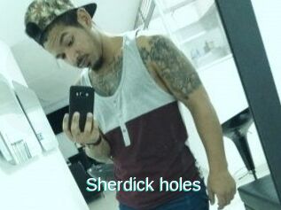 Sherdick_holes