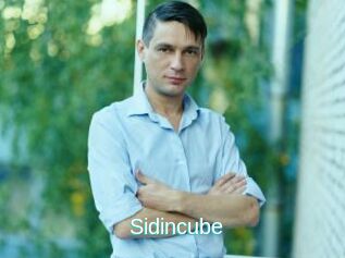 Sid_incube
