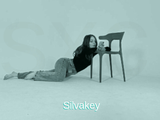 Silvakey
