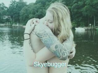 Skyebugger