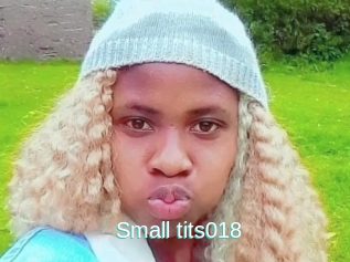 Small_tits018