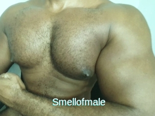 Smellofmale