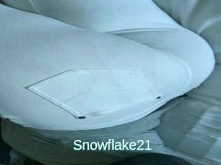 Snowflake21