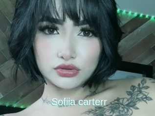Sofiia_carterr