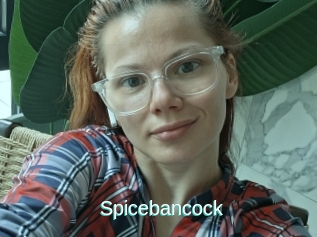 Spicebancock