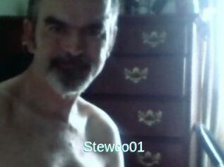 Stewco01