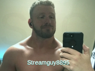 Streamguy8895