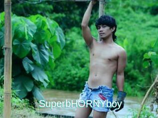SuperbHORNYboy
